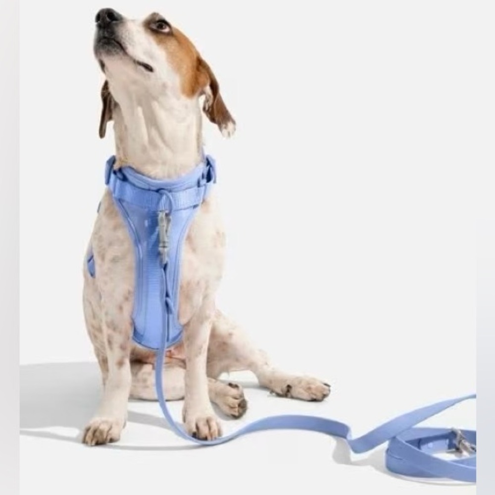Wild One Dog Harness and Leash Set - Moonstone - size Medium & Standard